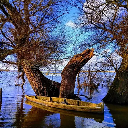 Dom wakacyjny La Tireliere, Longere Bord De Avec Jardin *