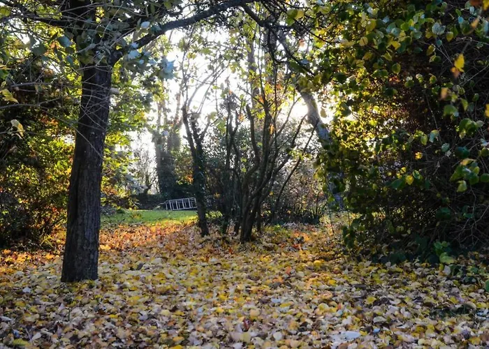Ferienhaus La Tireliere, Longere Bord De Avec Jardin Surville (Manche)