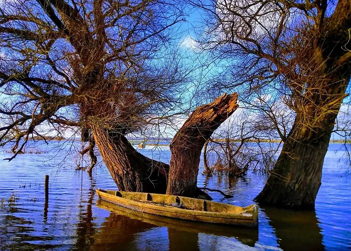 Ferienhaus La Tireliere, Longere Bord De Avec Jardin *